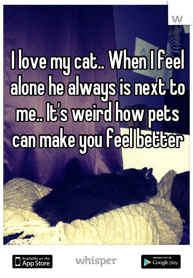 I love my cat.. When I feel alone he always is next to me.. It's weird how pets can make you feel better