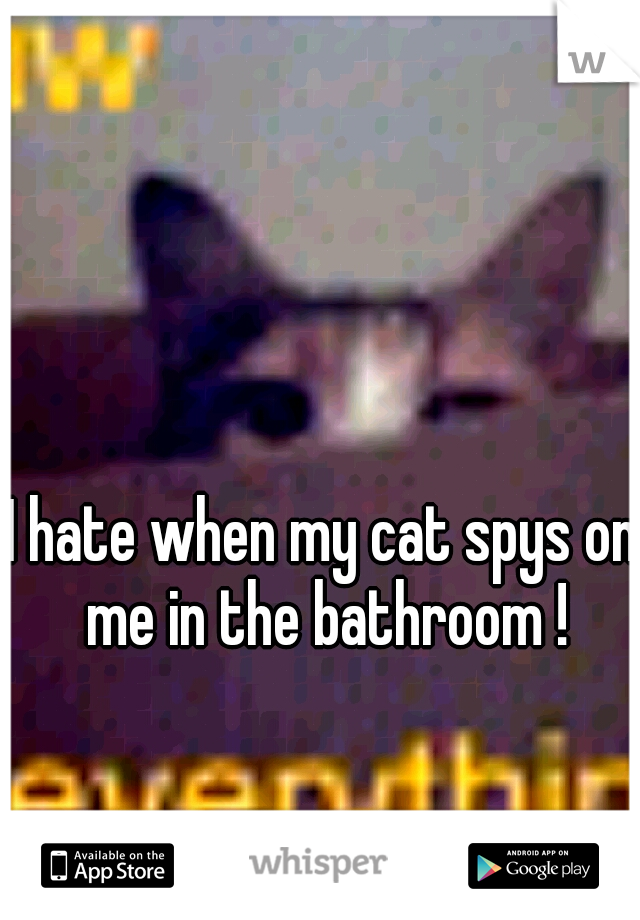 I hate when my cat spys on me in the bathroom !