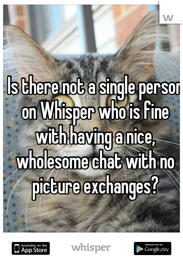 Is there not a single person on Whisper who is fine with having a nice, wholesome chat with no picture exchanges?