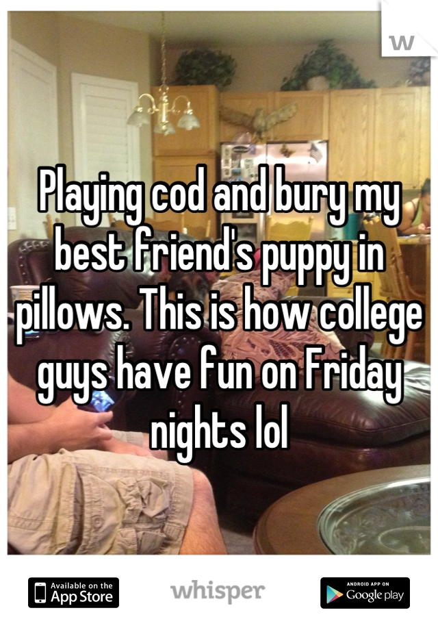 Playing cod and bury my best friend's puppy in pillows. This is how college guys have fun on Friday nights lol