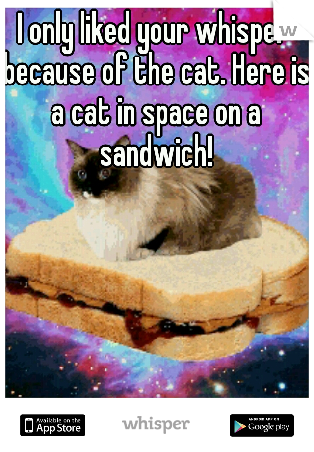 I only liked your whisper because of the cat. Here is a cat in space on a sandwich!