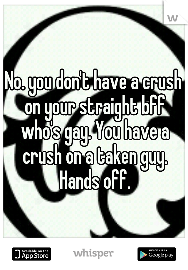 No. you don't have a crush on your straight bff who's gay. You have a crush on a taken guy. Hands off.