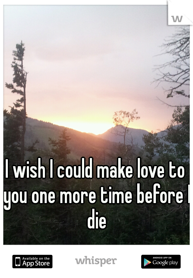 I wish I could make love to you one more time before I die