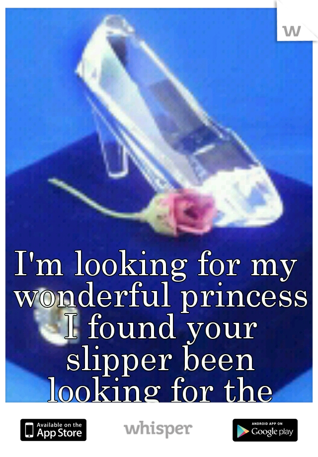I'm looking for my wonderful princess I found your slipper been looking for the right fit.