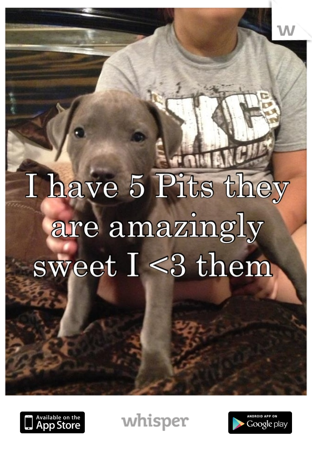 I have 5 Pits they are amazingly sweet I <3 them 