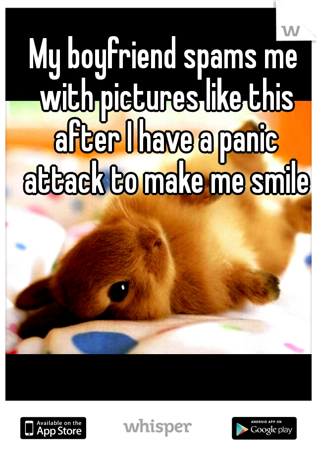 My boyfriend spams me with pictures like this after I have a panic attack to make me smile