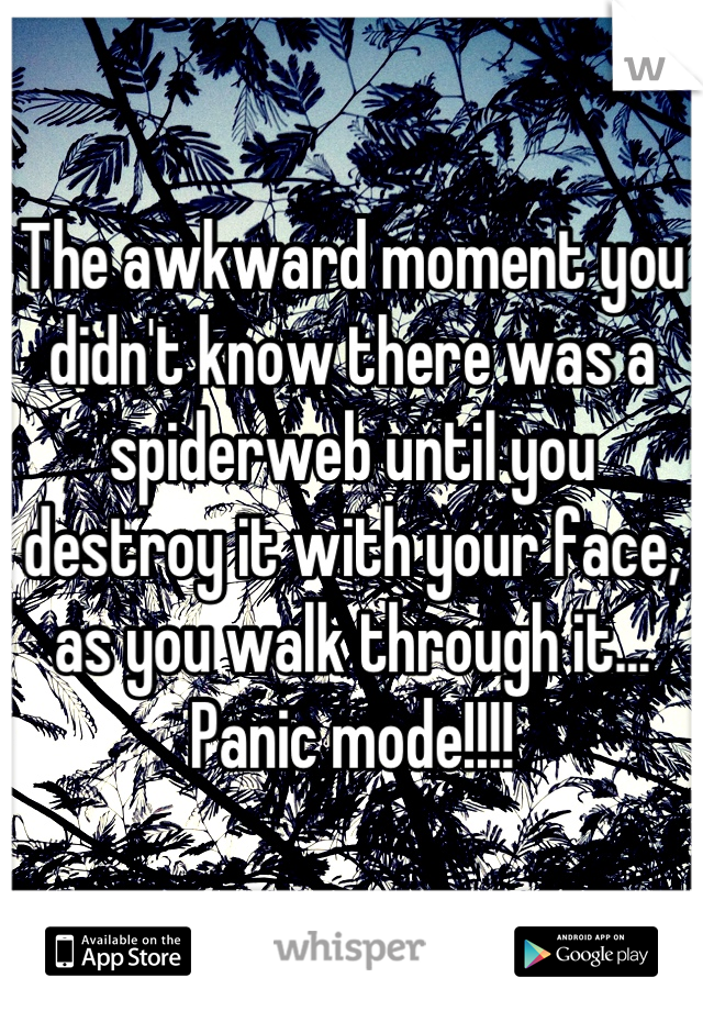 The awkward moment you didn't know there was a spiderweb until you destroy it with your face, as you walk through it... Panic mode!!!!