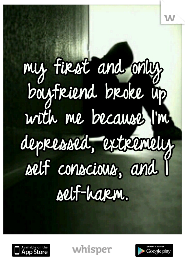 my first and only boyfriend broke up with me because I'm depressed, extremely self conscious, and I self-harm. 