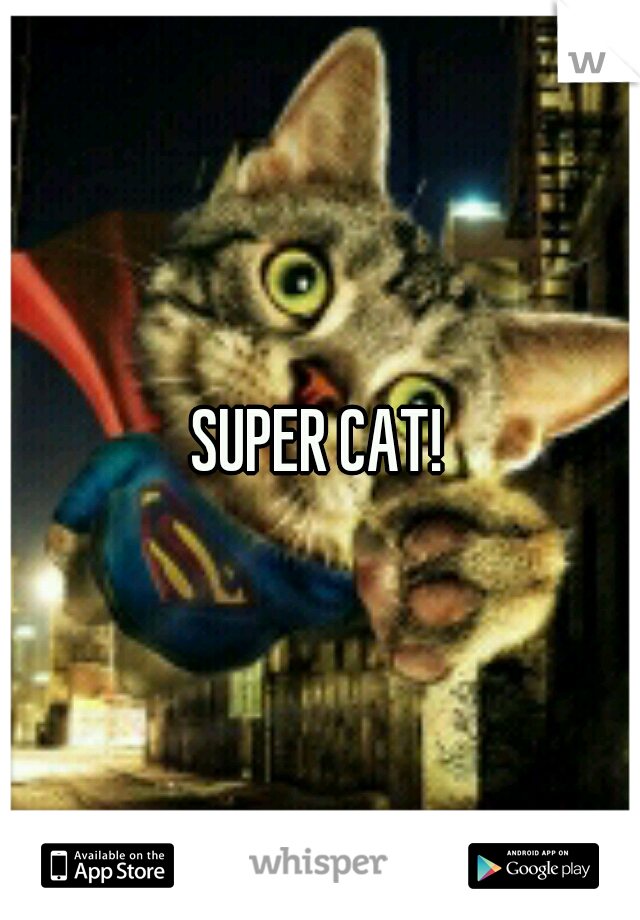 SUPER CAT!