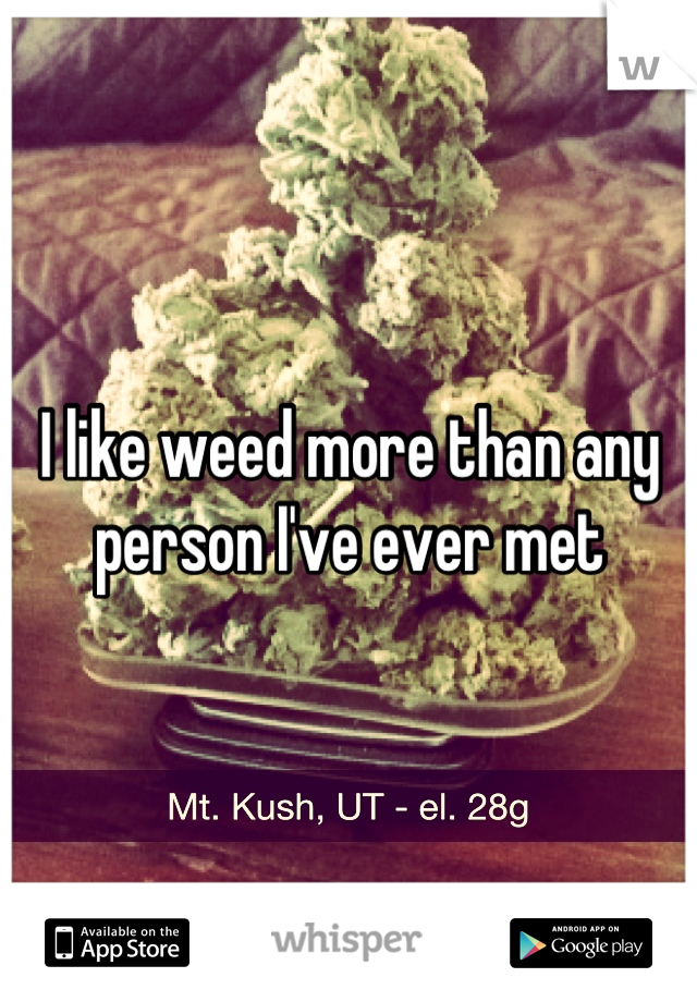 I like weed more than any person I've ever met