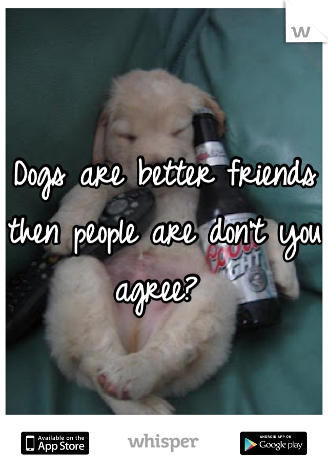 Dogs are better friends then people are don't you agree? 