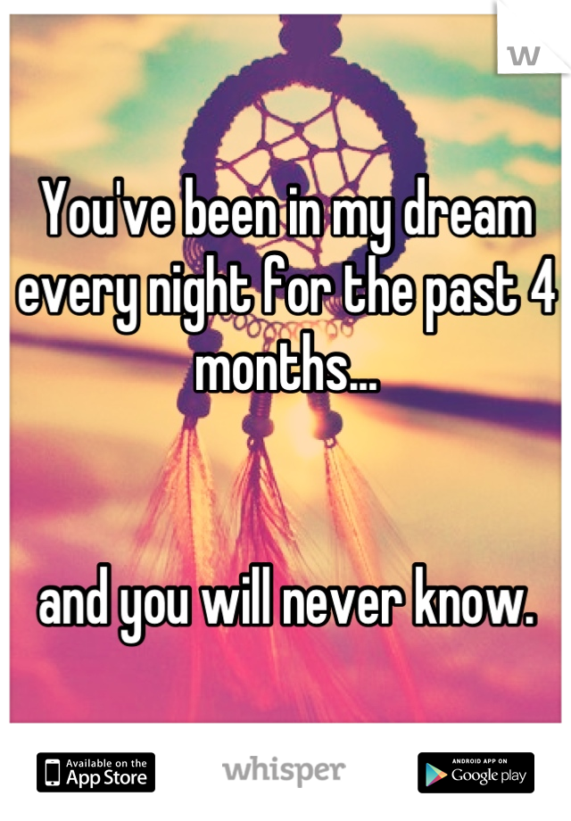 You've been in my dream every night for the past 4 months...


and you will never know.