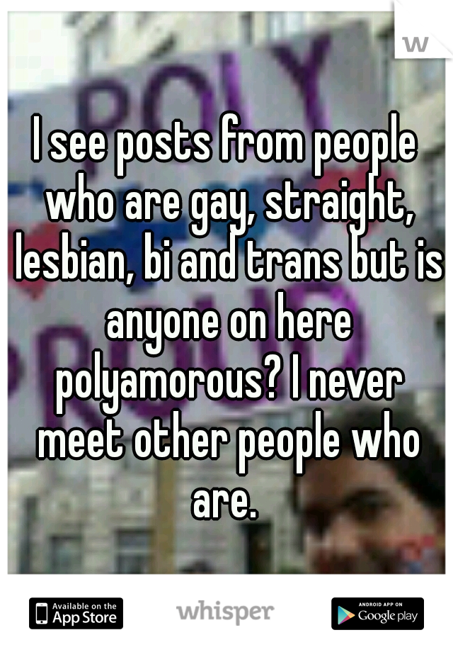 I see posts from people who are gay, straight, lesbian, bi and trans but is anyone on here polyamorous? I never meet other people who are. 