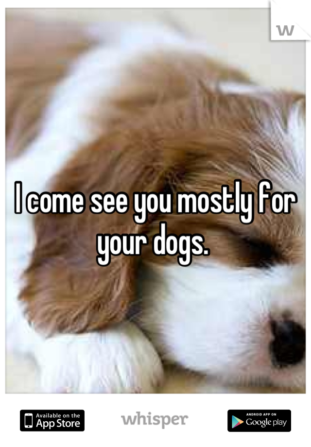 I come see you mostly for your dogs. 
