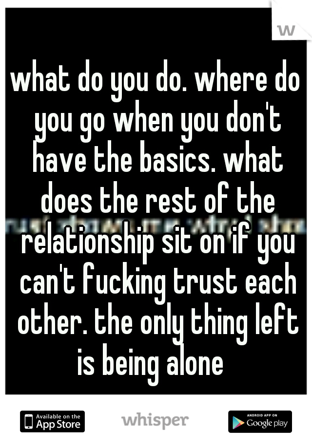 what do you do. where do you go when you don't have the basics. what does the rest of the relationship sit on if you can't fucking trust each other. the only thing left is being alone
