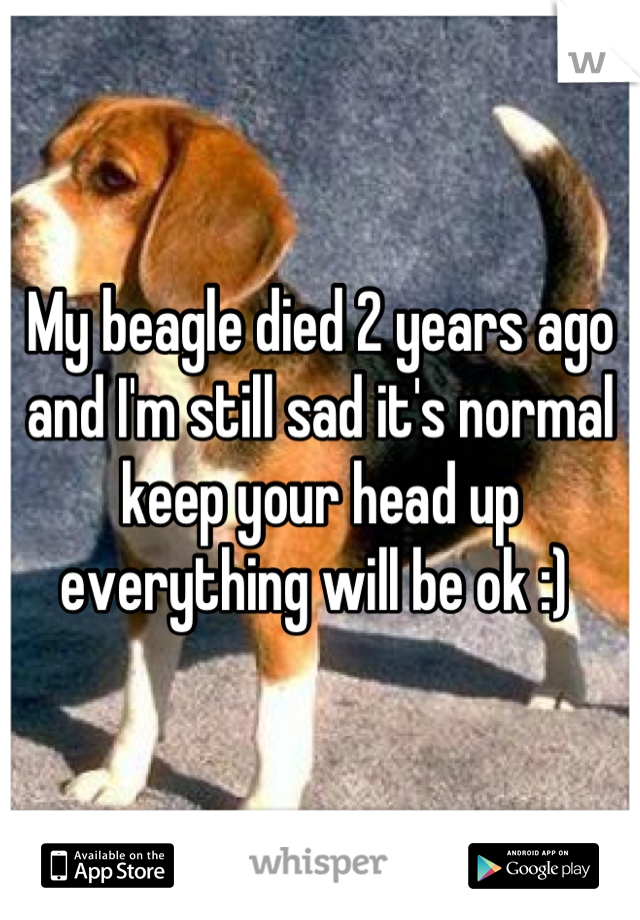 My beagle died 2 years ago and I'm still sad it's normal keep your head up everything will be ok :) 