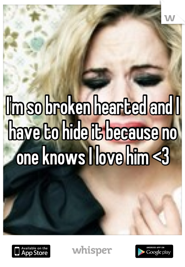 I'm so broken hearted and I have to hide it because no one knows I love him <3