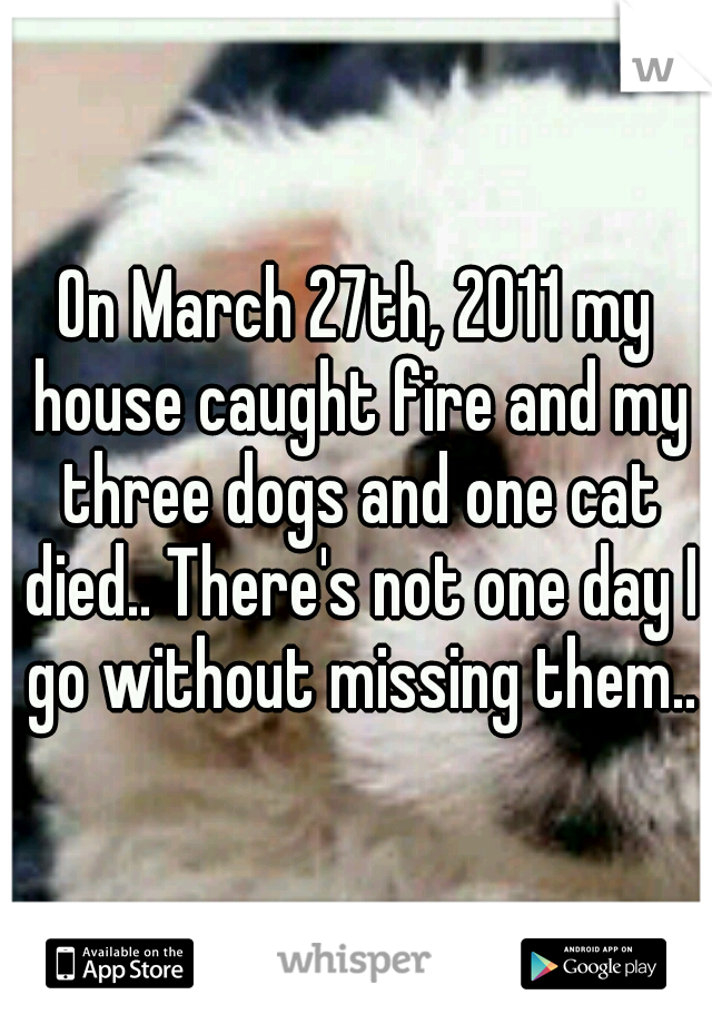 On March 27th, 2011 my house caught fire and my three dogs and one cat died.. There's not one day I go without missing them..