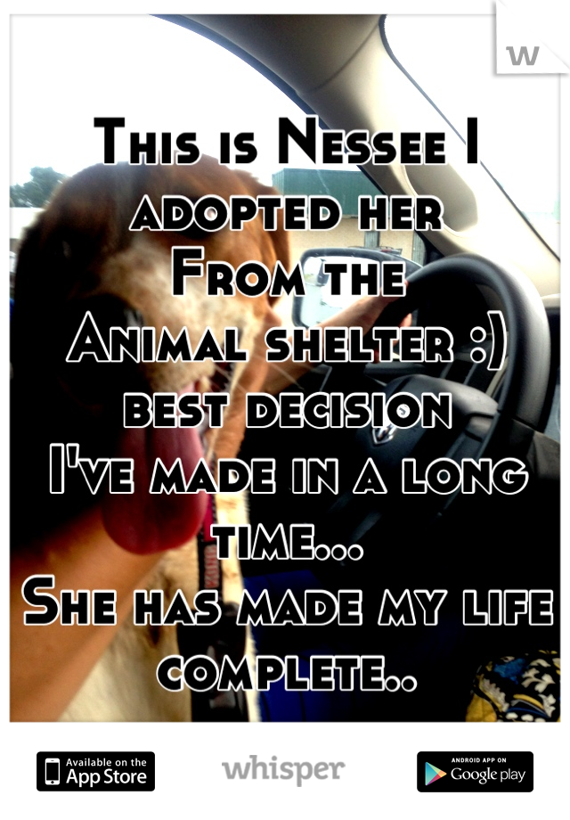 This is Nessee I adopted her
From the
Animal shelter :) best decision 
I've made in a long time...
She has made my life complete..