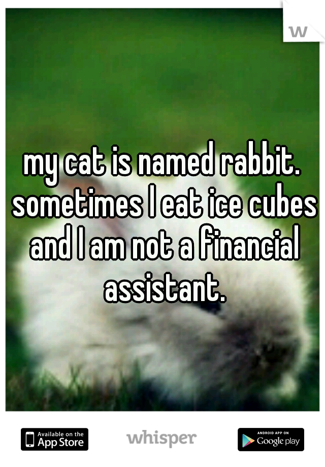 my cat is named rabbit. sometimes I eat ice cubes and I am not a financial assistant.