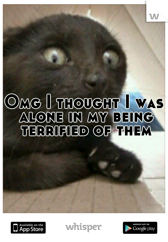 Omg I thought I was alone in my being terrified of them!