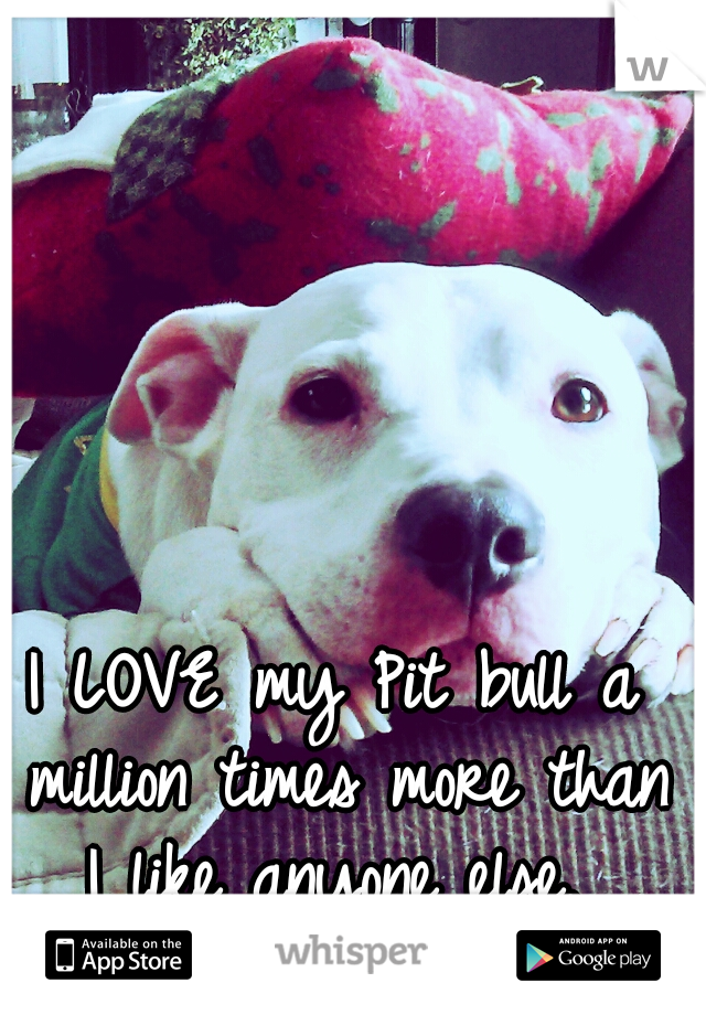 I LOVE my Pit bull a million times more than I like anyone else. 