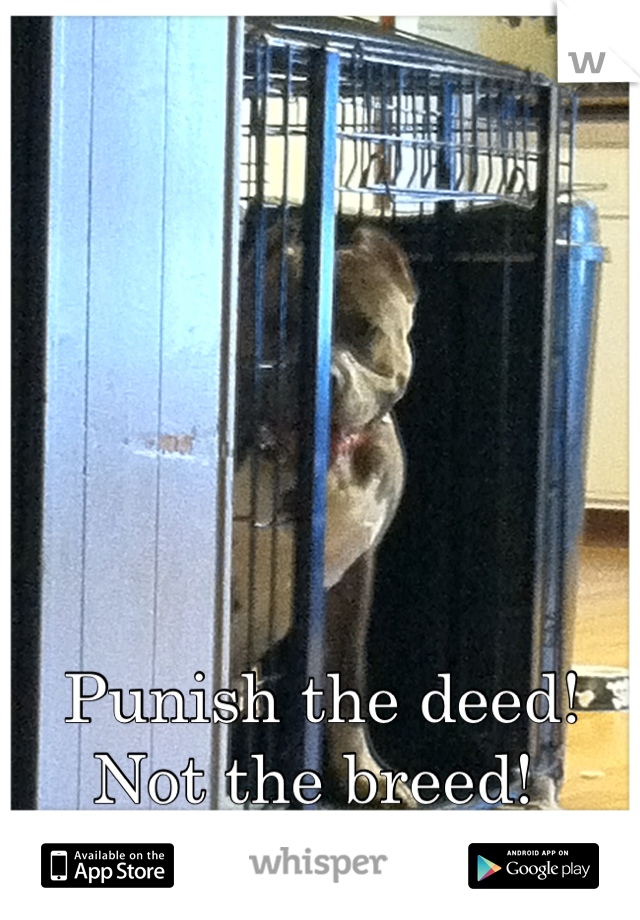 Punish the deed!
Not the breed! 
