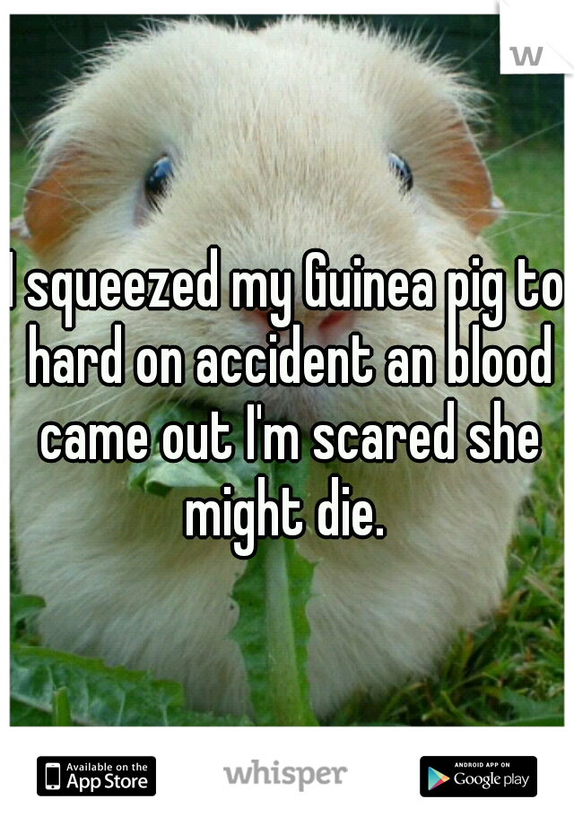 I squeezed my Guinea pig to hard on accident an blood came out I'm scared she might die. 