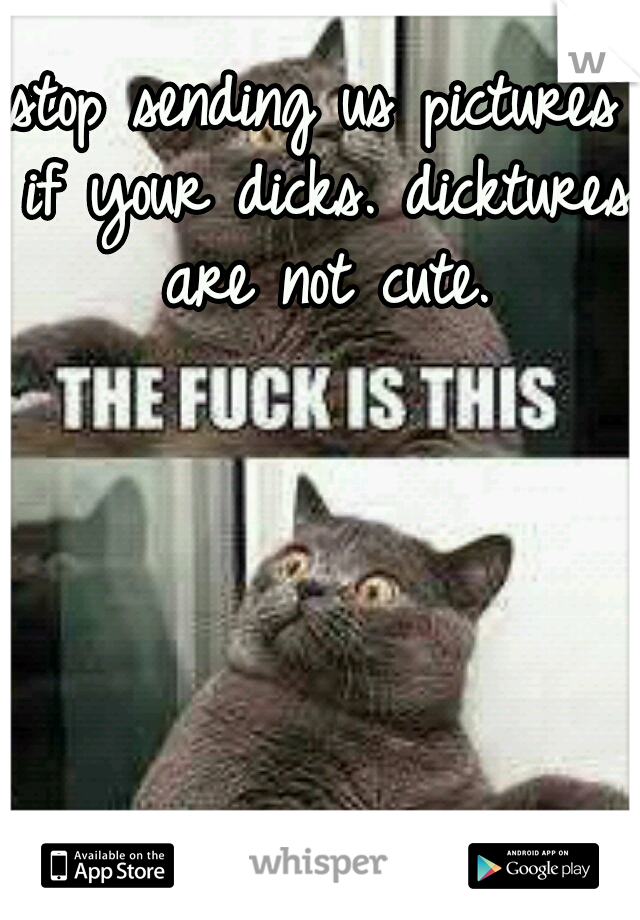 stop sending us pictures if your dicks. dicktures are not cute.