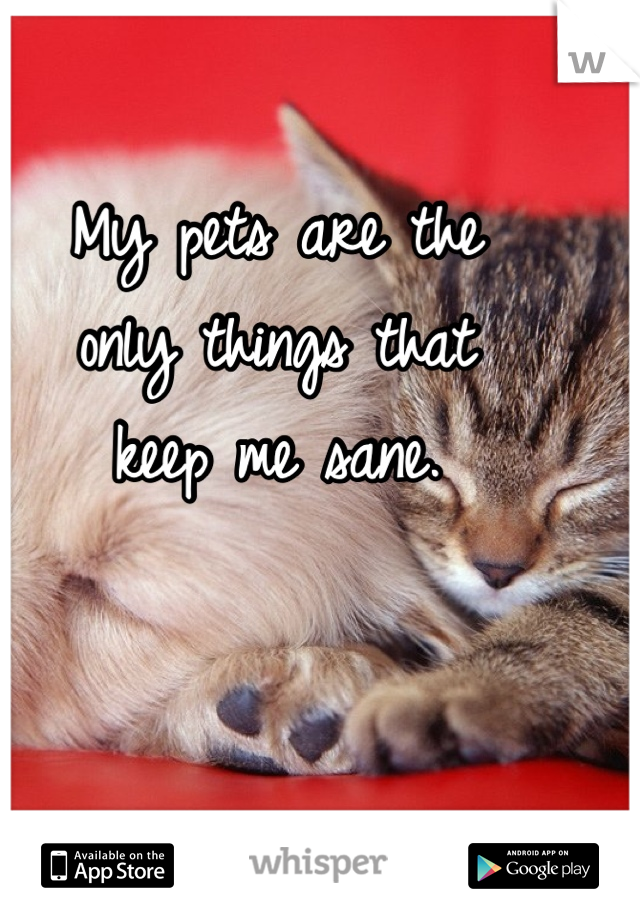 My pets are the
only things that
 keep me sane. 