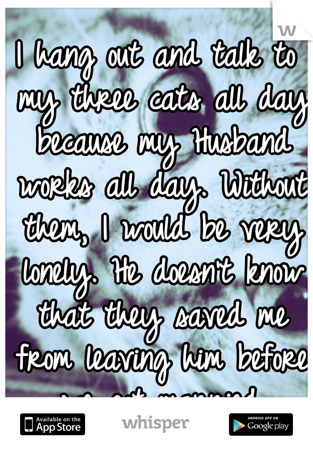 I hang out and talk to my three cats all day because my Husband works all day. Without them, I would be very lonely. He doesn't know that they saved me from leaving him before we got married.