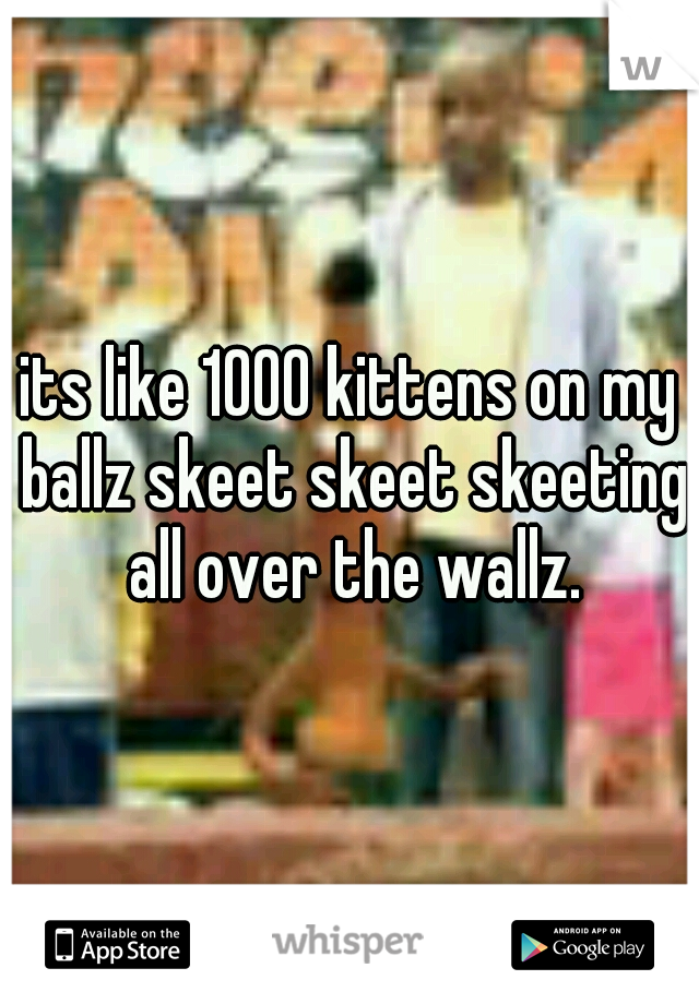 its like 1000 kittens on my ballz skeet skeet skeeting all over the wallz.