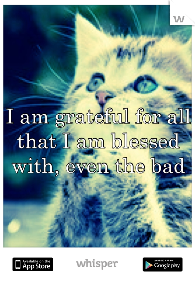 I am grateful for all that I am blessed with, even the bad