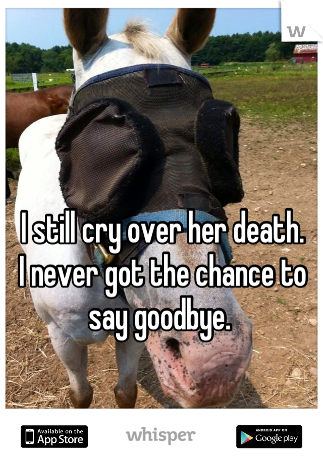 I still cry over her death. 
I never got the chance to say goodbye. 