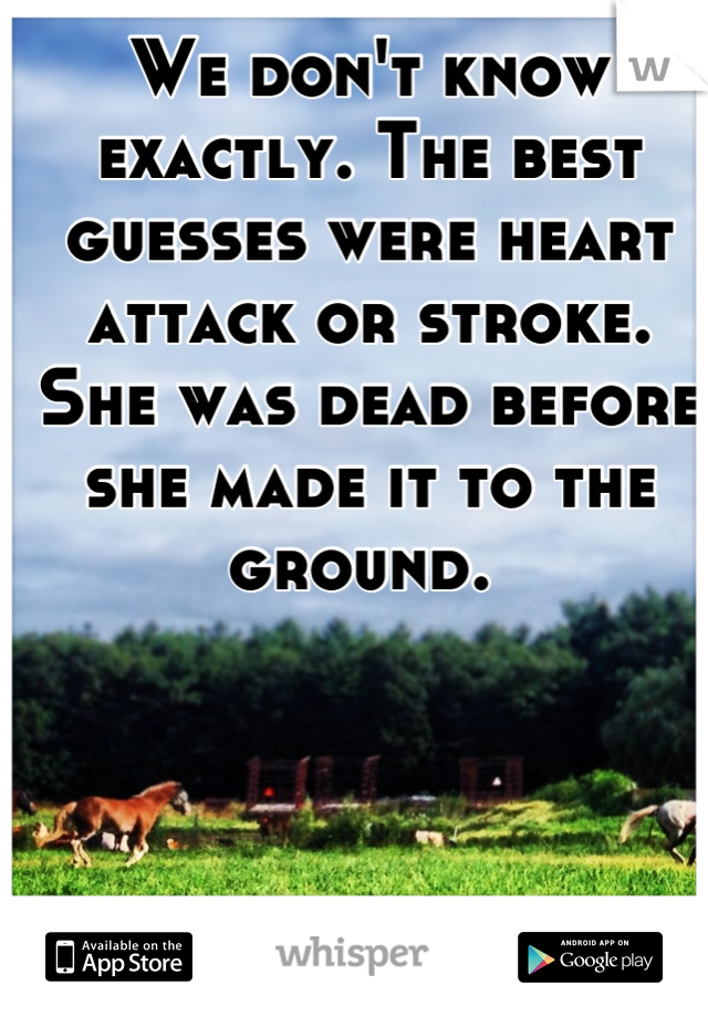 We don't know exactly. The best guesses were heart attack or stroke. She was dead before she made it to the ground. 