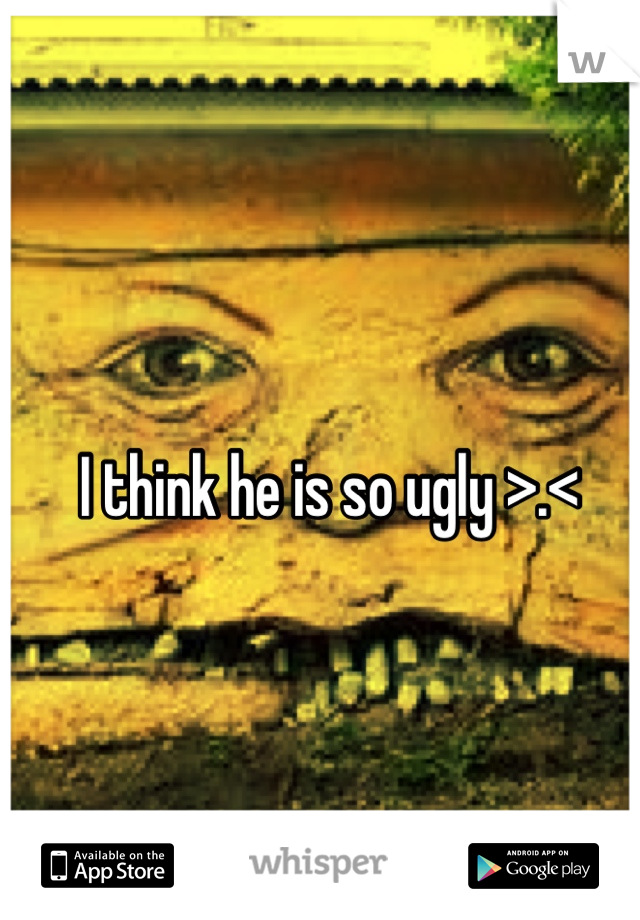 I think he is so ugly >.<