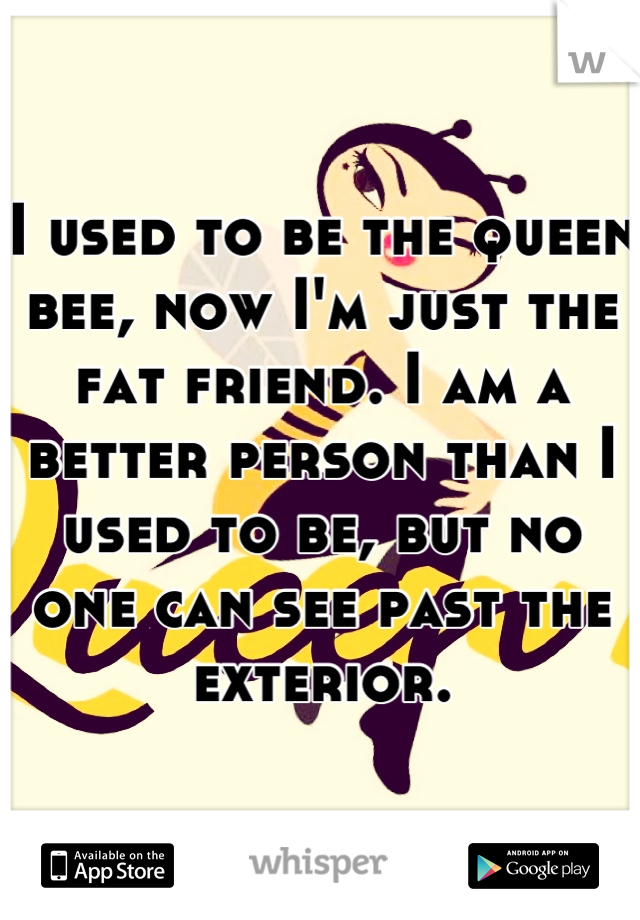 I used to be the queen bee, now I'm just the fat friend. I am a better person than I used to be, but no one can see past the exterior.