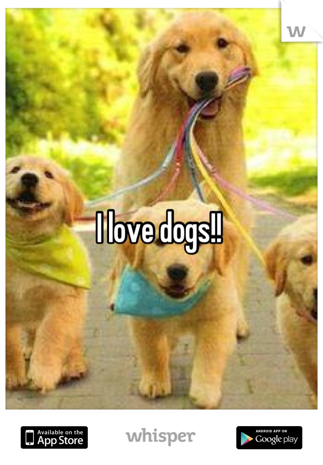 I love dogs!! 