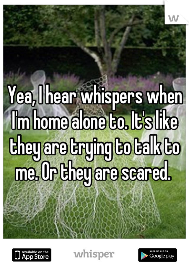 Yea, I hear whispers when I'm home alone to. It's like they are trying to talk to me. Or they are scared. 