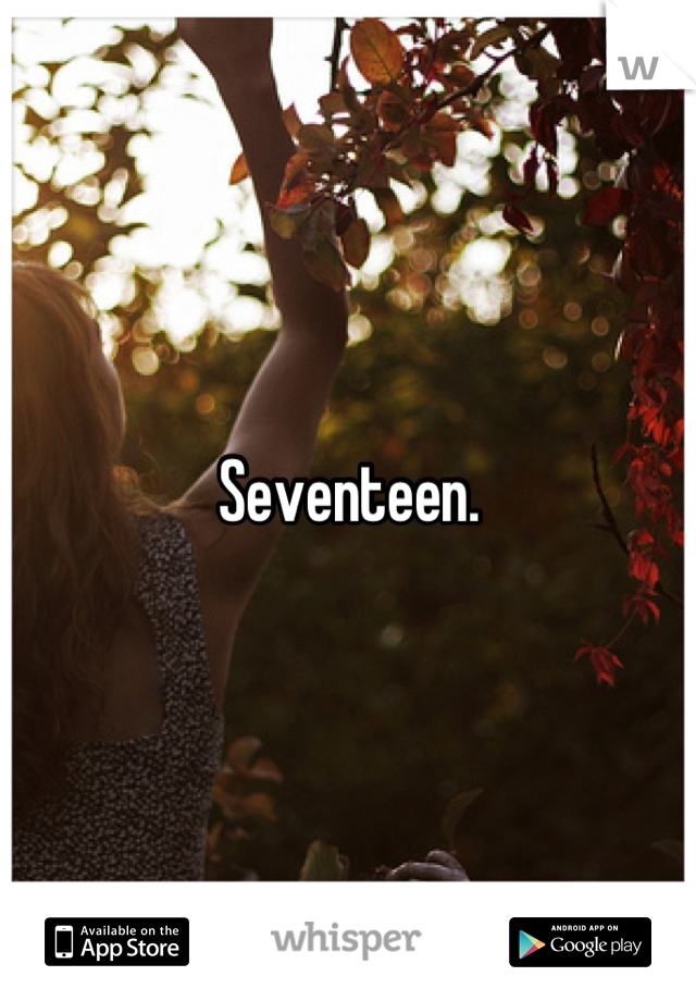 Seventeen.