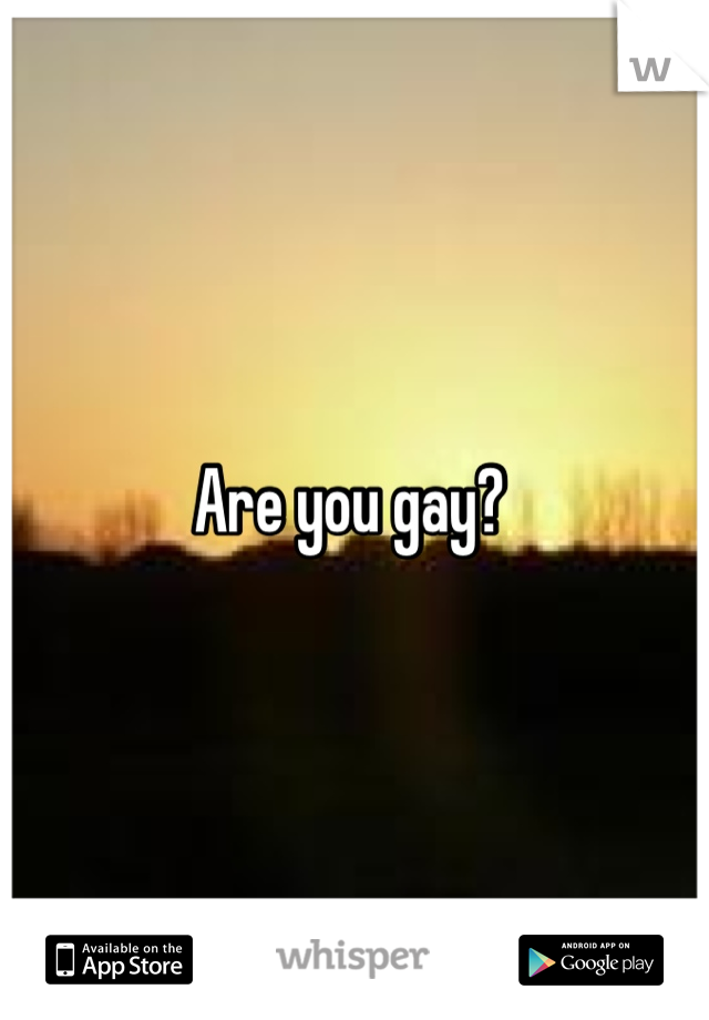 Are you gay? 
