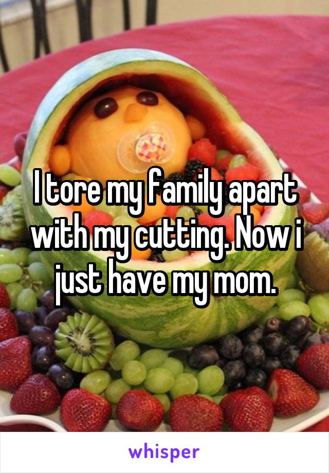 I tore my family apart with my cutting. Now i just have my mom.