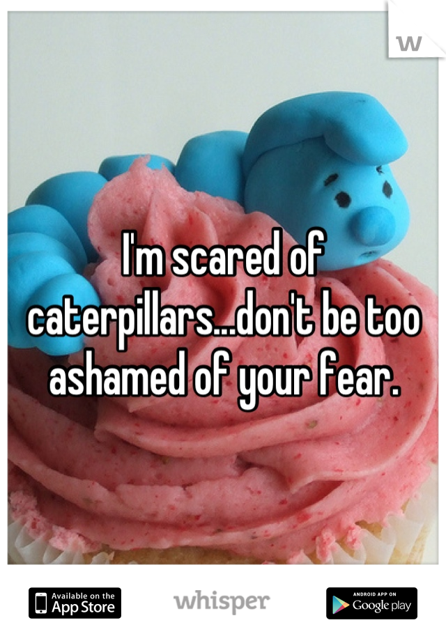 I'm scared of caterpillars...don't be too ashamed of your fear.