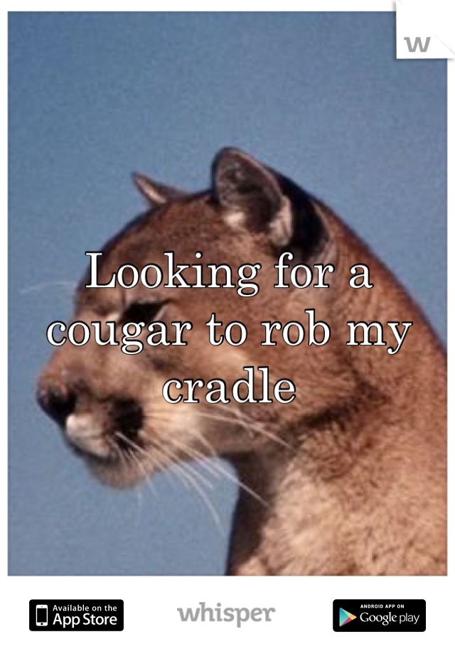 Looking for a cougar to rob my cradle