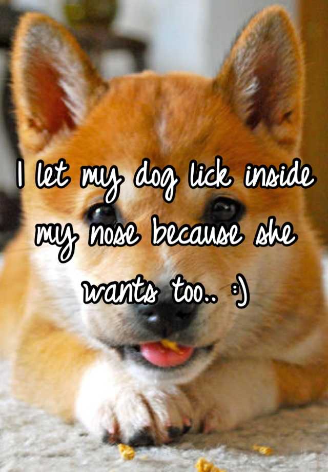 i-let-my-dog-lick-inside-my-nose-because-she-wants-too