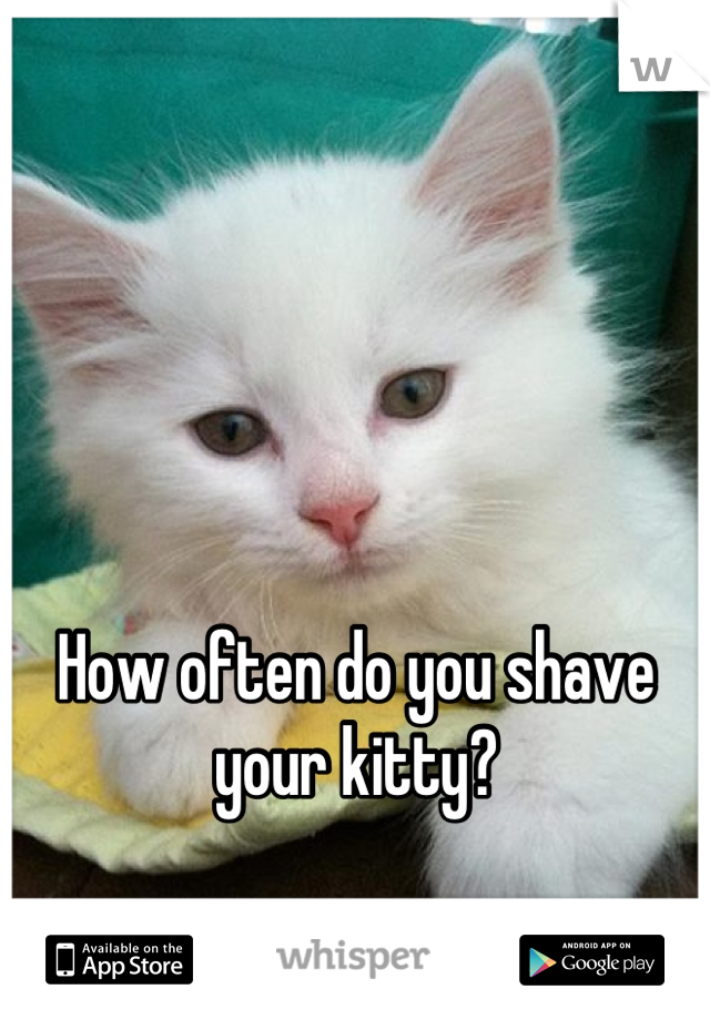 How often do you shave your kitty?