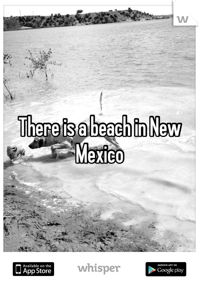 There is a beach in New Mexico