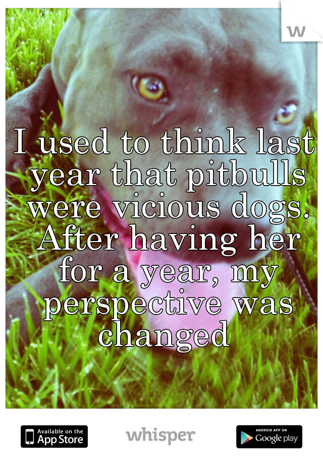 I used to think last year that pitbulls were vicious dogs. After having her for a year, my perspective was changed 