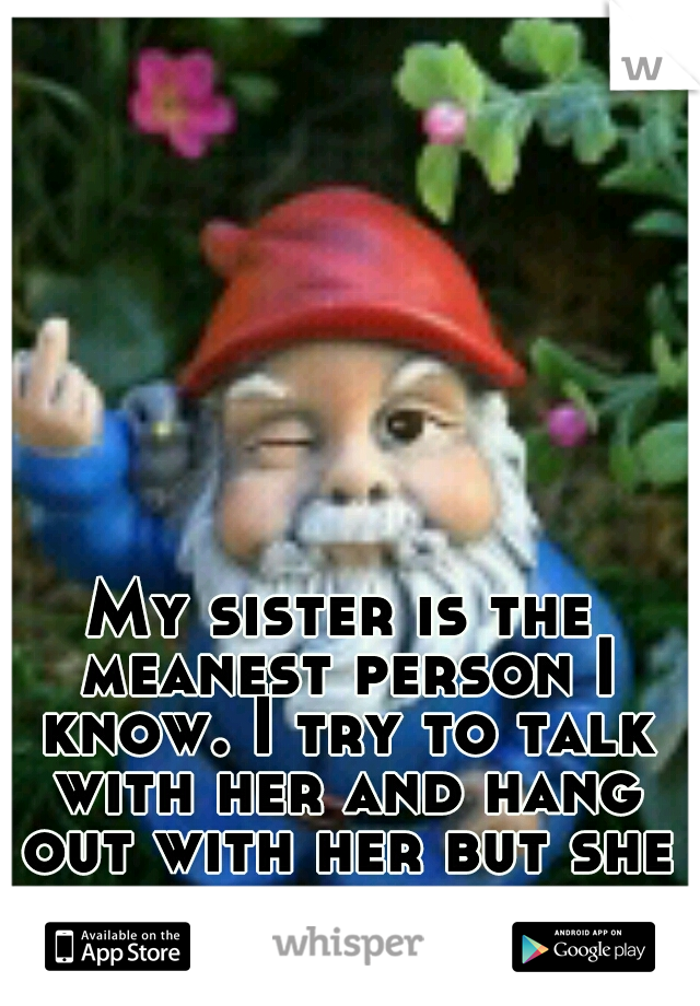 My sister is the meanest person I know. I try to talk with her and hang out with her but she treats me like shit. 