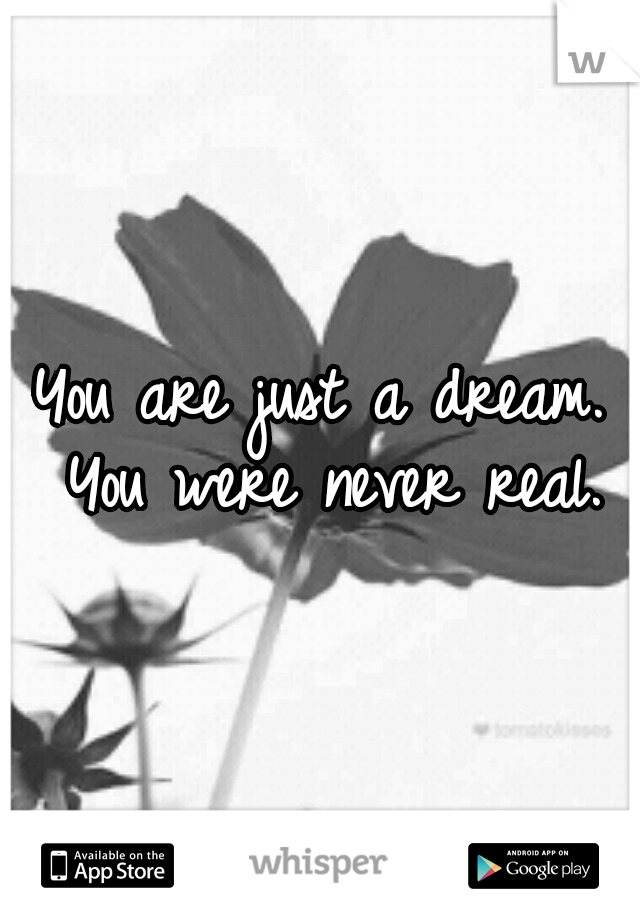 You are just a dream. You were never real.